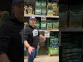 WHAT S THE DIFFERENCE BETWEEN SCOTT S RAPID GRASS AND EZ SEED PATCH AND REPAIR