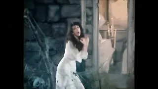 Kate Bush - Wuthering Heights - Gothic Version