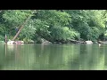 Swinging at Camp Tomahawk