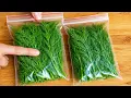 Stop freezing your DILL Chef s secret to fresh DILL for months Clever Tricks