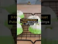 Download Lagu 3 Kesalahan Membuat Putu Ayu yang Bikin Hasilnya Jadi Bantat #juragankueacademy