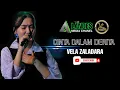 Lagu CINTA DALAM DERITA || VELA ZALADARA || DANGOL || ANNIVERSARY CCTV KE 2