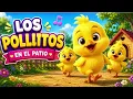 Estimulación del lenguaje 🐥 | Los Pollitos | Canción para niños