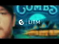 Luke Combs - Where The Wild Things Are (Audio)