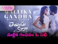 Lagu Mallika Gandha song lyrics telugu Sid Sriram Telusu Kada movie Rashi Khanna Siddhu Jonnalagadda #4k 