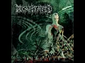 Decapitated-Spheres of Madness (HQ)