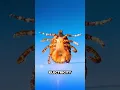 Scientists Just Solved The Tick Mystery
