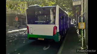                                      دندنها