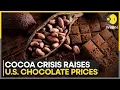 Download Lagu Cocoa Prices More Than Doubled Since Early 2024 | WION Business Insights