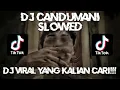 Download Lagu DJ CANDUMANI SLOWED VIRAL TIKTOK