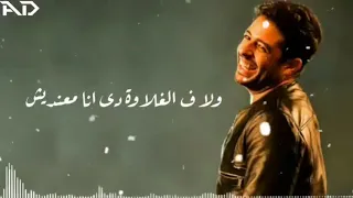 انا كلي ليكي متكدبيش حماقي جديد دندنها