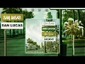 Grupo LP- San Lucas (COVER)