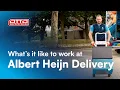 Working at Albert Heijn Delivery via OTTO Work Force in the Netherlands