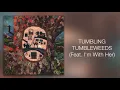 Sara Watkins - "Tumbling Tumbleweeds (Feat. I’m With Her)" [Audio Only]