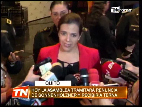 Hoy la asamblea tramitará renuncia de Sonnenholzner y recibirá terna