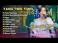 Download Lagu Arneta Julia Mahesa - TANG TING TUNG - GARA GARA SEBOTOL MINUMAN || KOPLO POPULER 2024