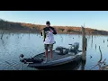 Fishing the renewable resource