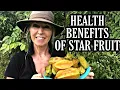 Health Benefits of Starfruit Carambola tropical fruit trees