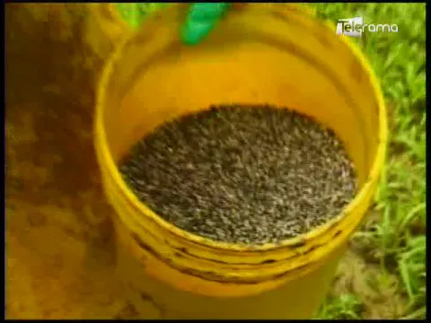 Ecuador Agropecuario 25-09-2017