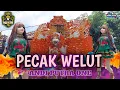 Download Lagu PECAK WELUT || ANDI PUTRA ONE || VOC. WINDA DWI LESTARI || MUSIK VIRAL 2025.