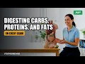 89 Anatomy Physiology Podcast Digesting Carbs Proteins and Fats - Breaking Down the Macronutri
