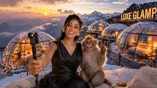 Luxe Glamp Kodaikanal-ல Monkey கூட ஒரு Crazy Vlog! 🐒🏔️ | இப்படியொரு Stay பாத்திருக்கீங்களா?