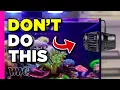 Download Lagu Is Flow KILLING Your Corals?