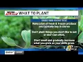 First Alert Weather Now - Grower s Guide for Thursday January 15
