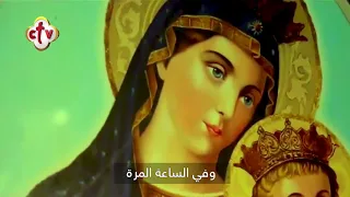 تمجيد   السلام لك يا مريم    يا يمامة جليلة تصيح دندنها