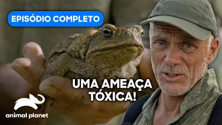 O que está MATANDO os peixes deste rio? | Jeremy Wade: Águas Misteriosas