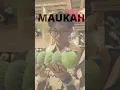 Download Lagu cinta ku pada mu ber semi kembali