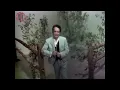 Merle Haggard - Swinging Doors 1968