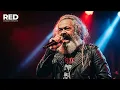 We Need New Octobers -  The Reds New Song