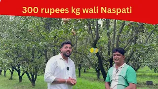 Paisa hi Paisa hoga ab Indian Farmer k pass NIJISSEIKI Naspati jo ki 300 rs/kg market mai bik rahi h