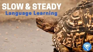 Slow & Steady Study Of Language
