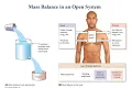 Lecture 1 Principles Homeostasis and Organization