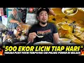 Download Lagu JAGA-JAGA ORANG MELAKA..500 KETUL PATIN TEMPOYAK LICIN SETIAP HARI...Penangan Air Tangan Ori Pahang