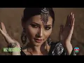 ☪ Best Arabic Music  Hamid Baroudi  - Caravan to Bagdad - (music video)