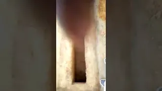 wa azi akan mata masu zuwa wajen bokaye