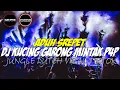 Download Lagu DJ JUNGLE DUTCH TERBARU 2022 | DJ KUCING GARONG SLOW BEAT VIRAL TIKTOK TERBARU FULL BASS 2022