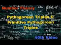 Pythagorean Triples Primitive Triples in Hindi Number Theory BSc Maths Important Examples