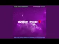 Download Lagu Wait For (feat. Iyz Queen, KingChiefLee, vanmac \u0026 Sedemse)