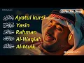 Peaceful Quran Recitation Before Sleep | Al-Fatiha, Ayatul Kursi, Yasin, Rahman, Mulk, Waqiah