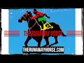 Horse Racing Betting Series How to Win Exacta Wagering Strategies