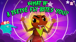 deadliest insect what if tsetse fly bites you how tsetse fly transmit disease dr binocs show