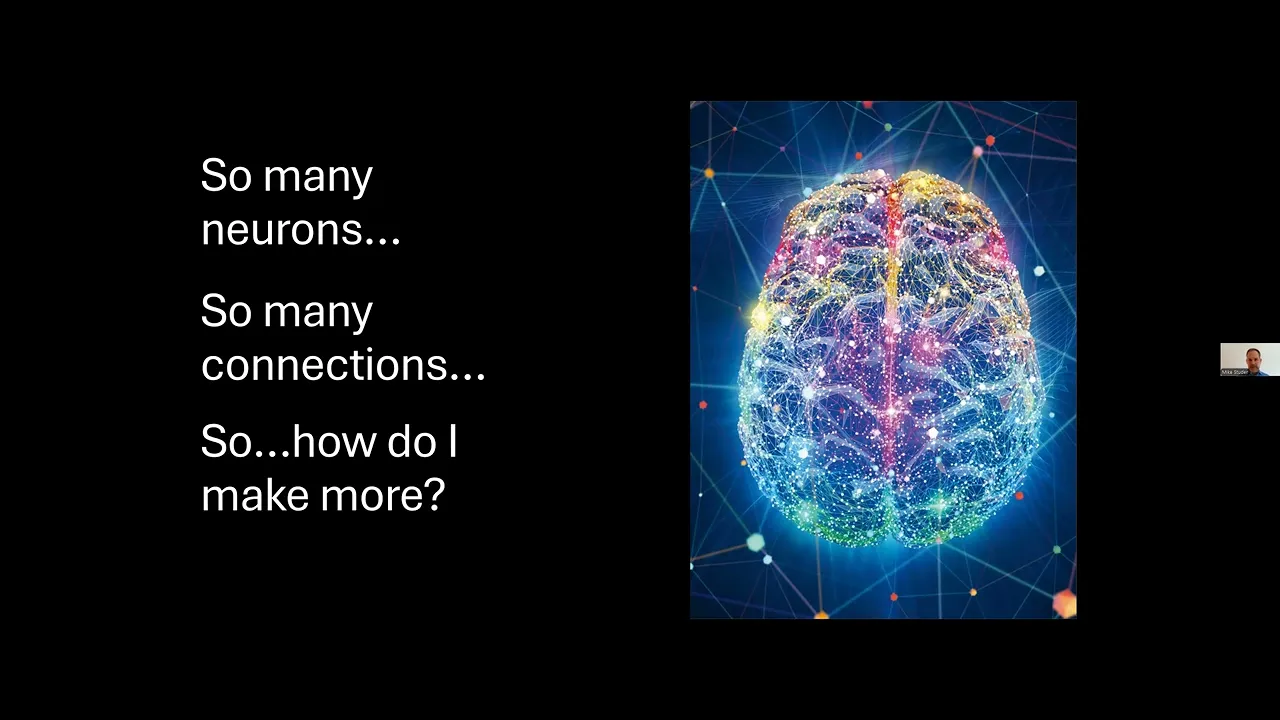 Maximizing Brain Performance and Neuroplasticity in Recovery and Life