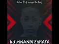 Maseve wa male  dj len  & dj nomza the king 