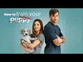 How to Train Your Husband or How to Pick Your Second Husband First 2018 Full Movie