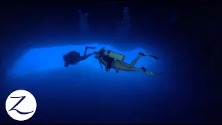 Scuba Diving a MASSIVE CAVE! // The Underwater World of Tonga (Ep 95)