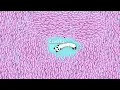 Download Lagu SnakeIo🐍 I Found Huge Score in Snake.io Map 🐍 Epic Snakeio Gameplay snake game